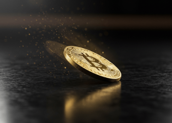 Bitcoin Slides After Trump Signs Strategic Reserve Executive Order