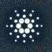 Cardano (ADA) Soars As Whale Activity Hits 3-Month High—What’s Next?