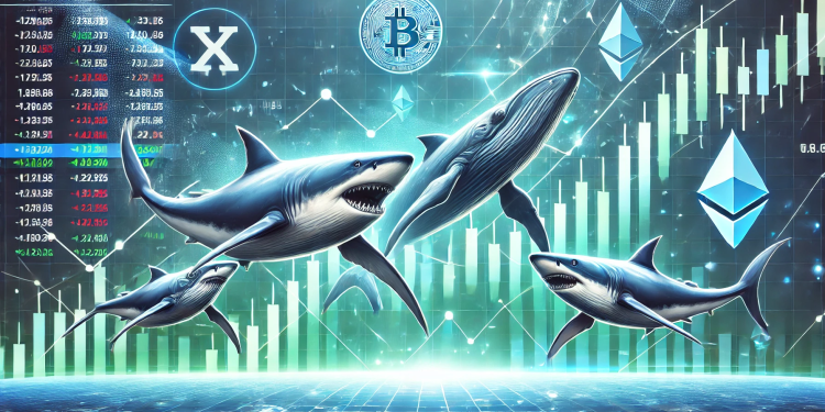 Dogecoin Shark & Whale Population Rises—Price Turnaround Incoming?