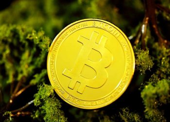 Bitcoin Price Crash: Crypto Analyst Reveals What Would Reject Current Bearish Hypothesis