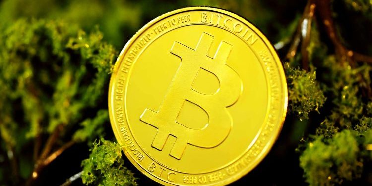 Bitcoin Price Crash: Crypto Analyst Reveals What Would Reject Current Bearish Hypothesis