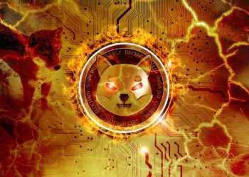 Finder’s Expert Predictions For Shiba Inu: How High Can The Price Go In 2025?