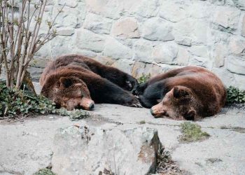 Expert Analyst Warns Bitcoin/VIX Is Not Bullish: Bear Market Signals