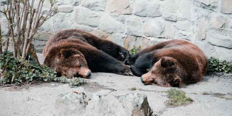 Expert Analyst Warns Bitcoin/VIX Is Not Bullish: Bear Market Signals