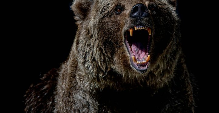 XRP ETF Launch Impresses Even In Bear Market, Says Analyst