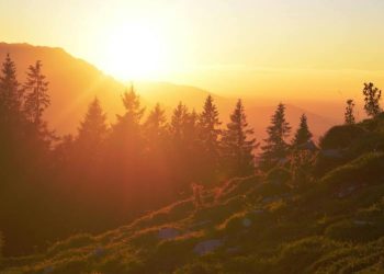 Could 1,000 XRP Buy You Happiness? This Analyst Thinks So