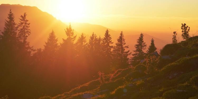 Could 1,000 XRP Buy You Happiness? This Analyst Thinks So