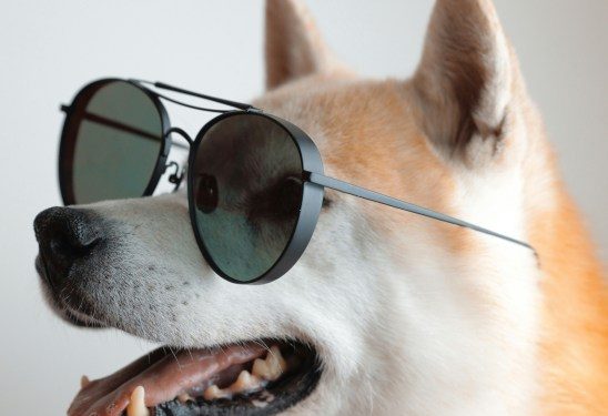 From Joke To Juggernaut: Dogecoin Value Revolution Gets Nod From Global Asset Giant