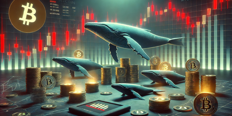 Bitcoin Stays Down, But Whale Wallets Quietly Climb to 4-Month High