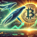 Bitcoin Rebounds From $74,000 Low As Whales Crank Up Activity