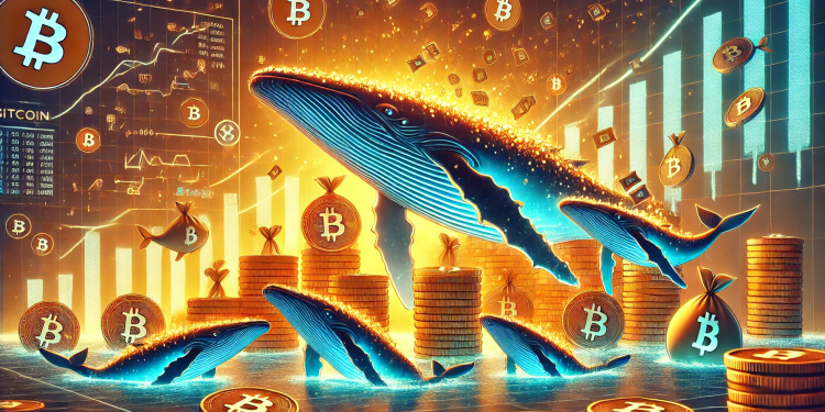 Bitcoin Mega Whales Keep Buying—Is Rest Of Market Finally Catching Up?