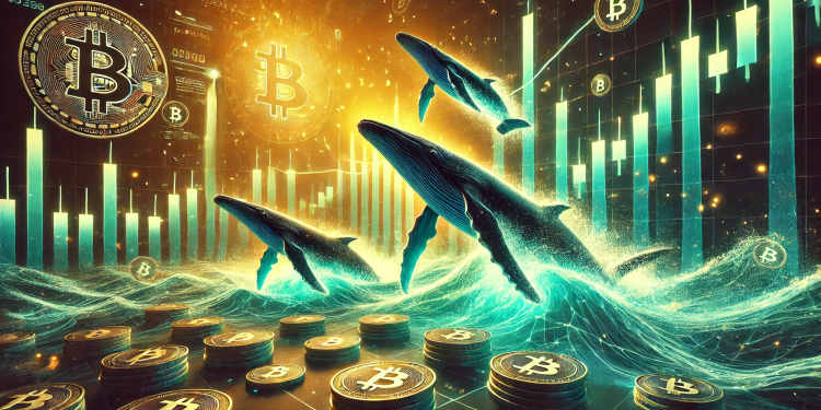 Bitcoin Whales Back In ‘Full Force’ For The Rally, Glassnode Reveals