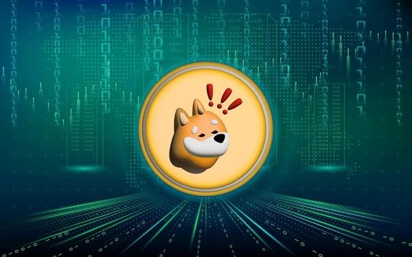 BONK Symmetrical Triangle Squeeze: Is A Mega Breakout Imminent?