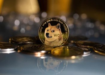 Dogecoin Fading Fervor: Has The Meme Coin Lost Its Mojo?