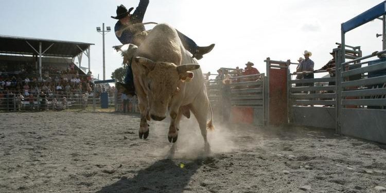 Is Bitcoin Bull Run Back? Daily RSI Shows Only Mild Bullish Momentum