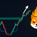 Shiba Inu Bulls Roar To Life After Breakout—Next Price Targets