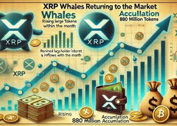 XRP Whales Are Back – 880 Million Tokens Accumulated This Month