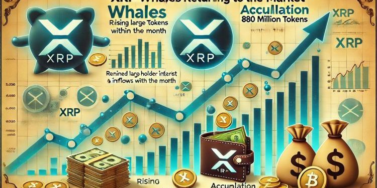 XRP Whales Are Back – 880 Million Tokens Accumulated This Month