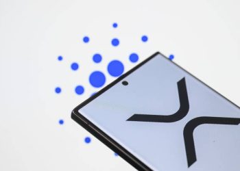 XRP Analyst Marks XDC For 3,350% Take-Off As Bullish Metrics Emerge