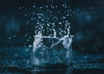 $10 Million Fix? SUI Network Moves Fast After Cetus Exploit Scare