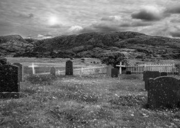 Crypto Graveyard: 50% Of Tokens Have Failed In the Past 5 years – Report