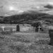 Crypto Graveyard: 50% Of Tokens Have Failed In the Past 5 years – Report