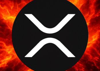 XRP Bull Trap Incoming? Analyst Sees $2.40 Fakeout Before Painful Crash