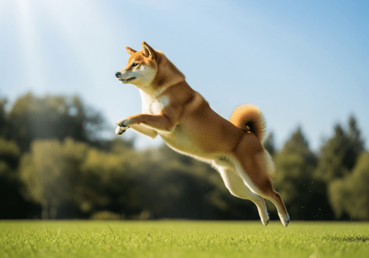 Shiba Inu Breakout Incoming? Bullish Setup Hints At Big Jump, Experts Say