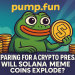 Pump.fun Preparing for a Crypto Presale: Will Solana Meme Coins Explode?