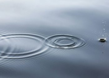 XRP Could Transform Your Finances Long Before $10K, Angel Investor Says