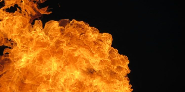 Shiba Inu Burn Explodes 3,194%: Can It Change The SHIB Price Trajectory?