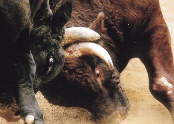 ‘Make No Mistake’: XRP Is Bitcoin’s Biggest Rival, Says Pundit