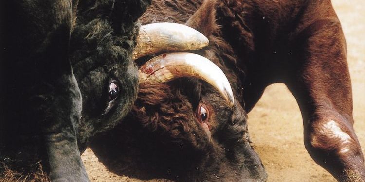 ‘Make No Mistake’: XRP Is Bitcoin’s Biggest Rival, Says Pundit