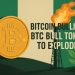 Bitcoin Still Bullish Despite Dump: BTC Bull Token to Explode in 2025?