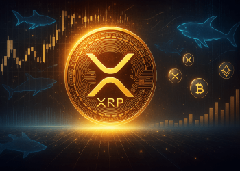 XRP Bullish Signal: Shark & Whale Wallets Set New All-Time High