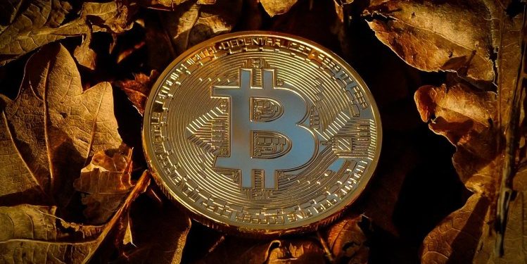 Elon Musk’s SpaceX Moves Bitcoin Holdings For The First Time In 3 Years, Here’s Where It Went