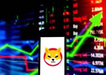 Shiba Inu Price Could See 180% Explosion As This Indicator Flashes Bullish Divergence