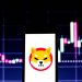 Shiba Inu Exchange Reserves Hit Lowest Level Since 2023 — Why A Price Surge Could Follow