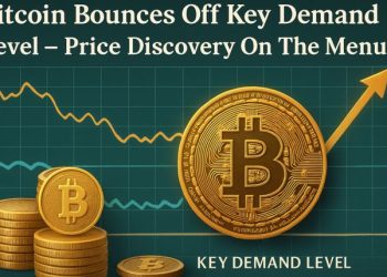 Bitcoin Bounces Off Key Demand Level – Price Discovery On The Menu?