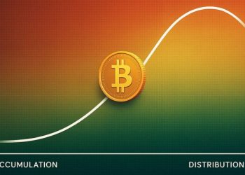 Bitcoin Heat Macro Phase Signals Market Sits Between Accumulation And Distribution