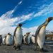 PENGU Heats Up: Nearly $600M In Open Interest Sparks Rally Talk