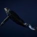 Dormant Whale Sells $80,000 BTC, But Bitcoin Bulls Still In Control