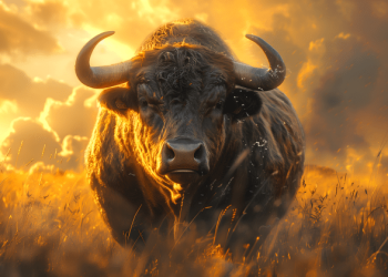 Analyst Shares Bitcoin Cheat Sheet Showing When The Bull Run Begins