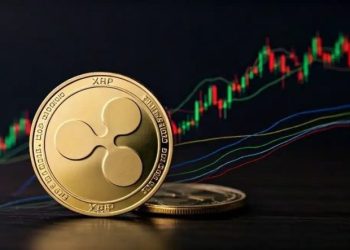 What’s Next For XRP After Crashing Below $3? Analyst Answers