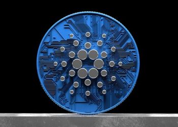 Cardano Whales Scoop Up 100 Million ADA In 24 Hours – Is A Mega Rally Brewing?