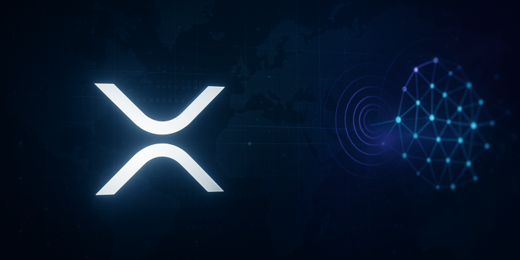 Ripple CTO Comments On Rising XRP Ledger Competition From Fintechs