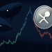 XRP Whales Unload Massive Bags: Distribution Or Trap?