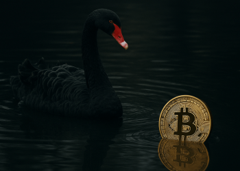 Bitcoin Faces A Black Swan — Bitwise Sounds The Alarm