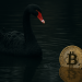 Bitcoin Faces A Black Swan — Bitwise Sounds The Alarm