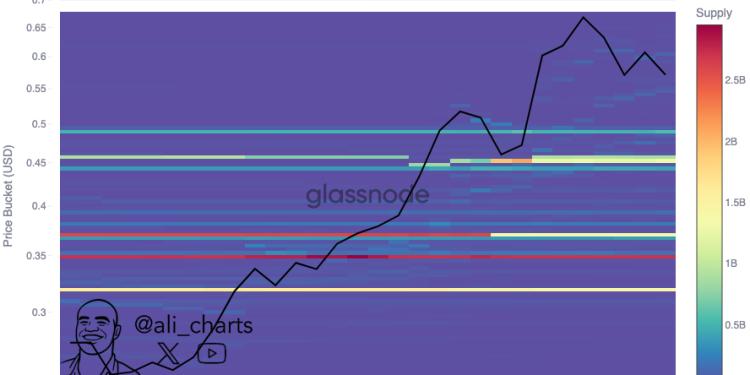 3 Key Ethena (ENA) Support Levels To Monitor – Analyst